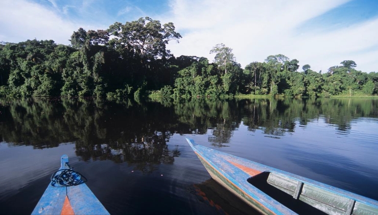Peru: Reserva Amazonica